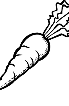 Obiad Vege kurs Stop The Bleed 05.07.2025